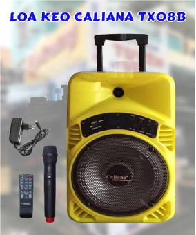 Loa kéo nhập khẩu HQ- Audio Chuyên phân phối sỉ & lẻ cùng giá - 1