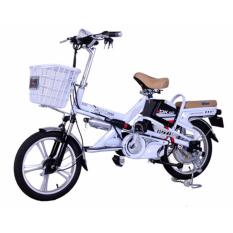 Xe đạp điện DK 18V
