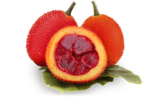 Gấc tươi tuyển chọn