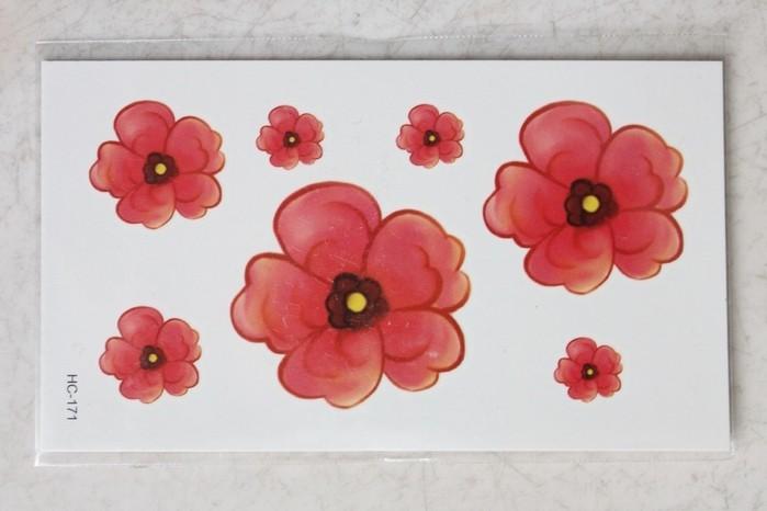 10x6cm-hoa-hoa-buom-hc-171-2