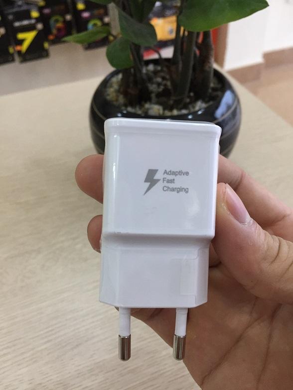 7d01dae25668ba36e379.jpg