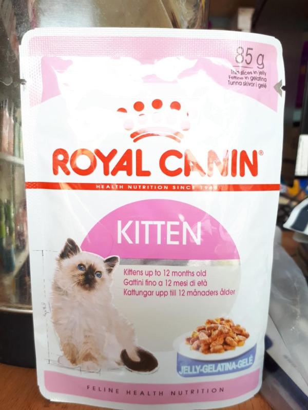 pate mèo con royal canin 85g
