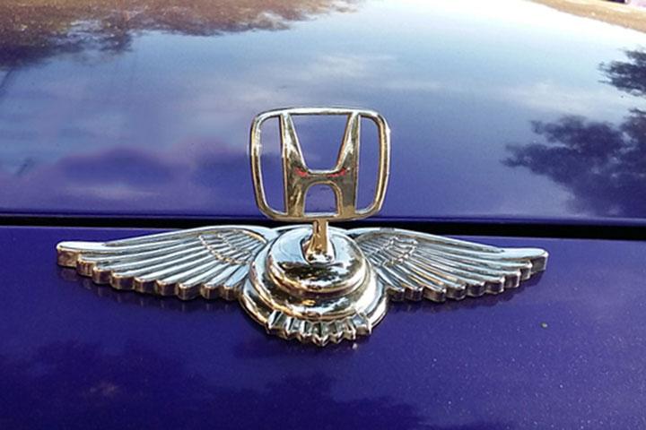 logo-canh-chim-thien-than-gan-capo-4.jpg