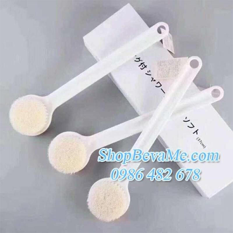 Cây cọ lưng Nhật Bản chất liệu cao cấp siêu tốt