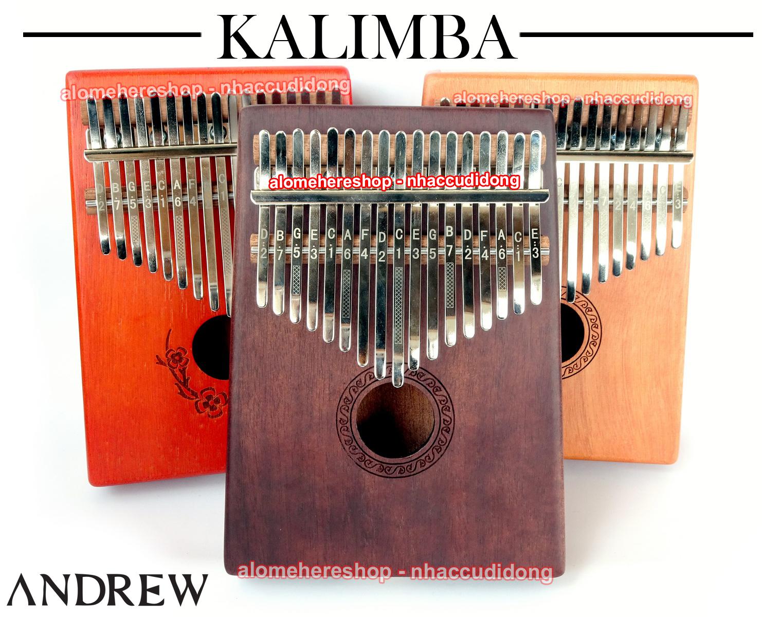 Dan kalimba 17 phim andrew 12.JPG