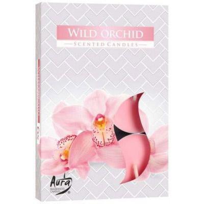 Hộp 6 nến thơm Tealight Bispol Wild Orchid BIS1700 (hương hoa địa lan).jpg