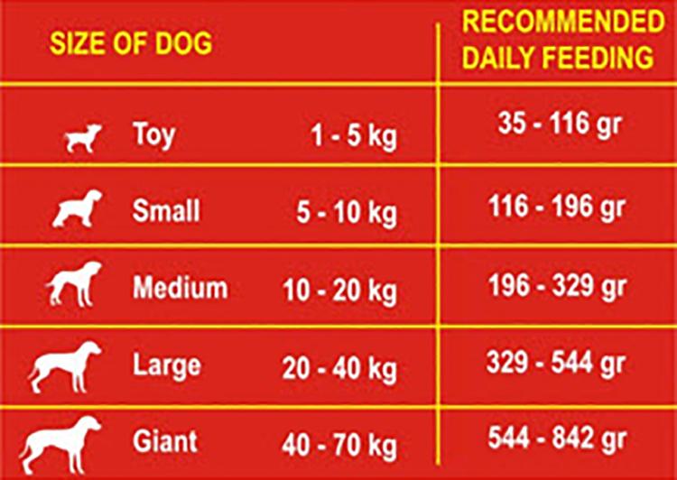 fibs-table1.jpg