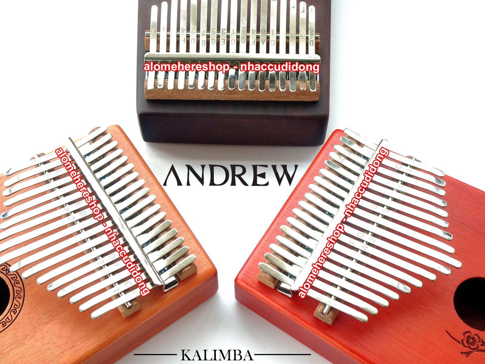 Dan kalimba 17 phim andrew 17.JPG