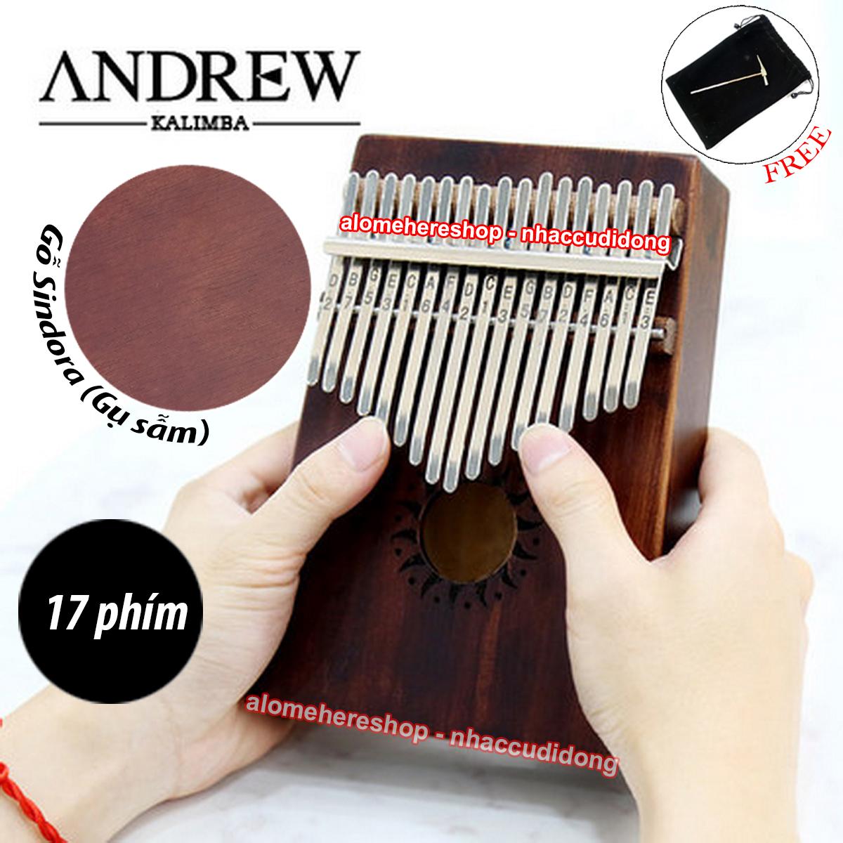 dan kalimba 17 phim andrew van go sam 3.jpg