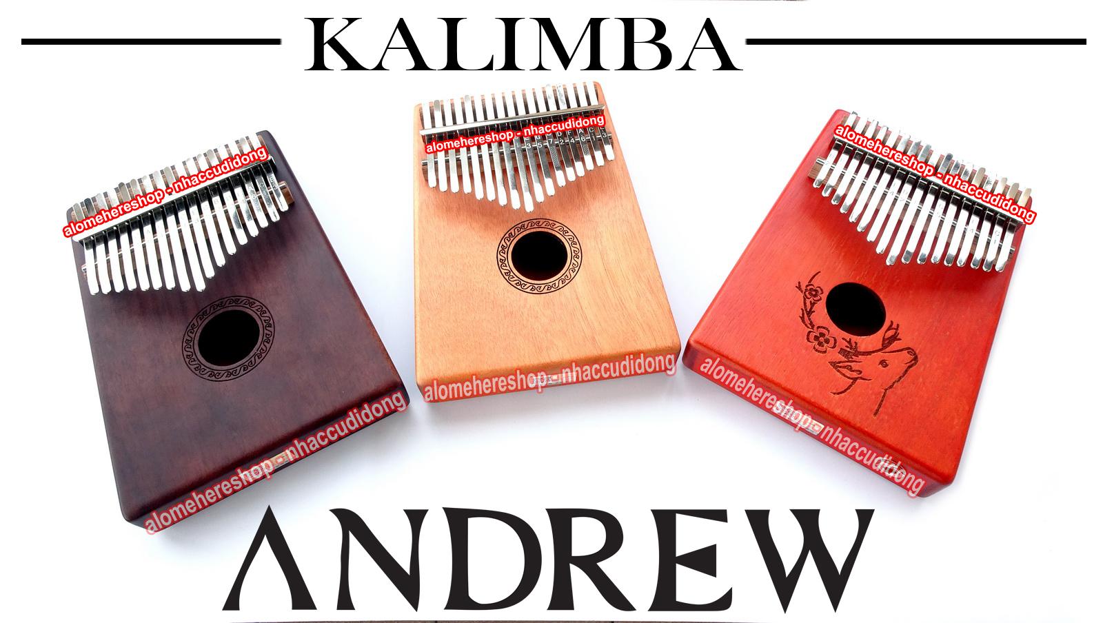 Dan kalimba 17 phim andrew 16.JPG