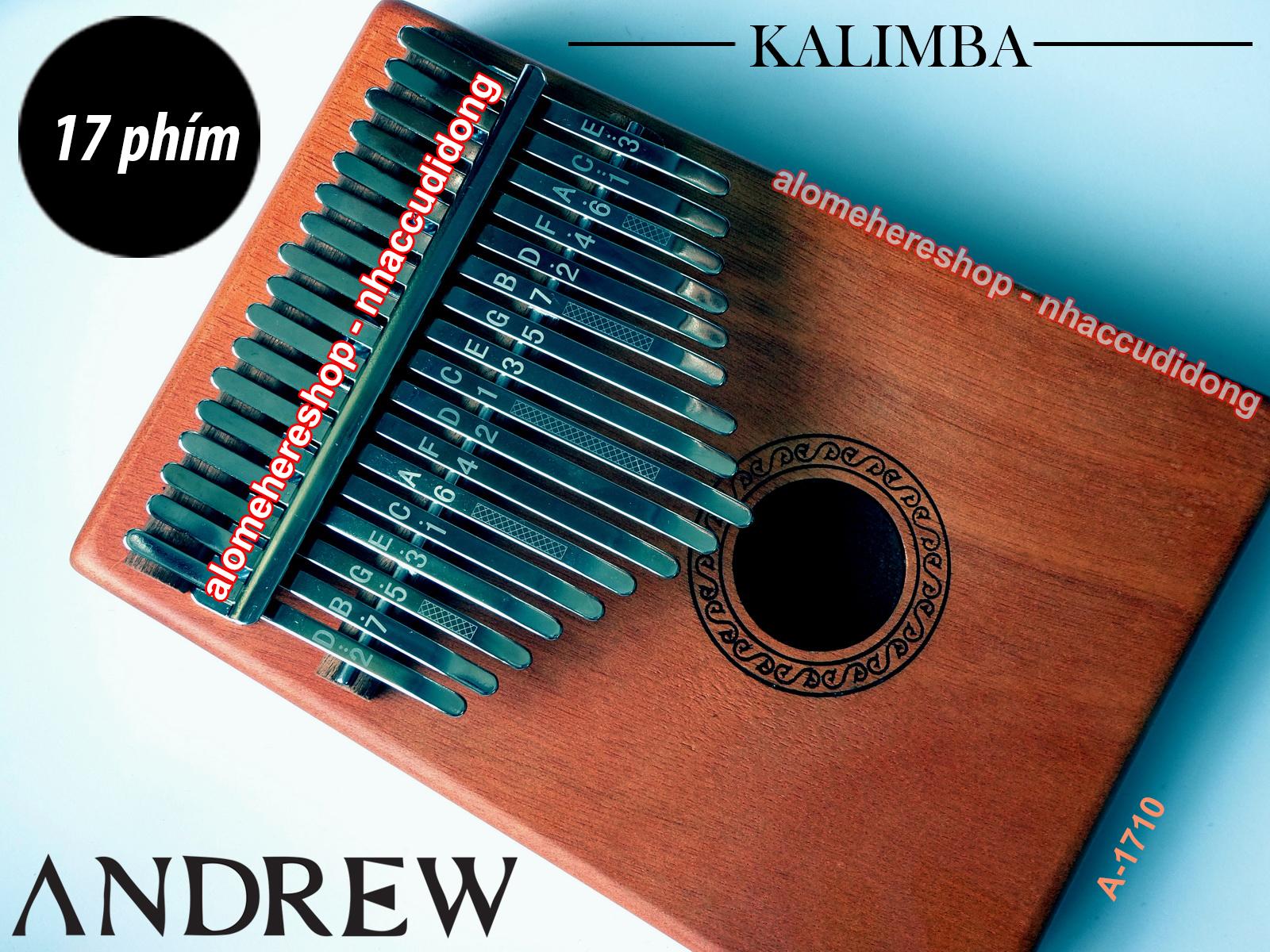 dan kalimba 17 phim andrew van go sang 10.JPG