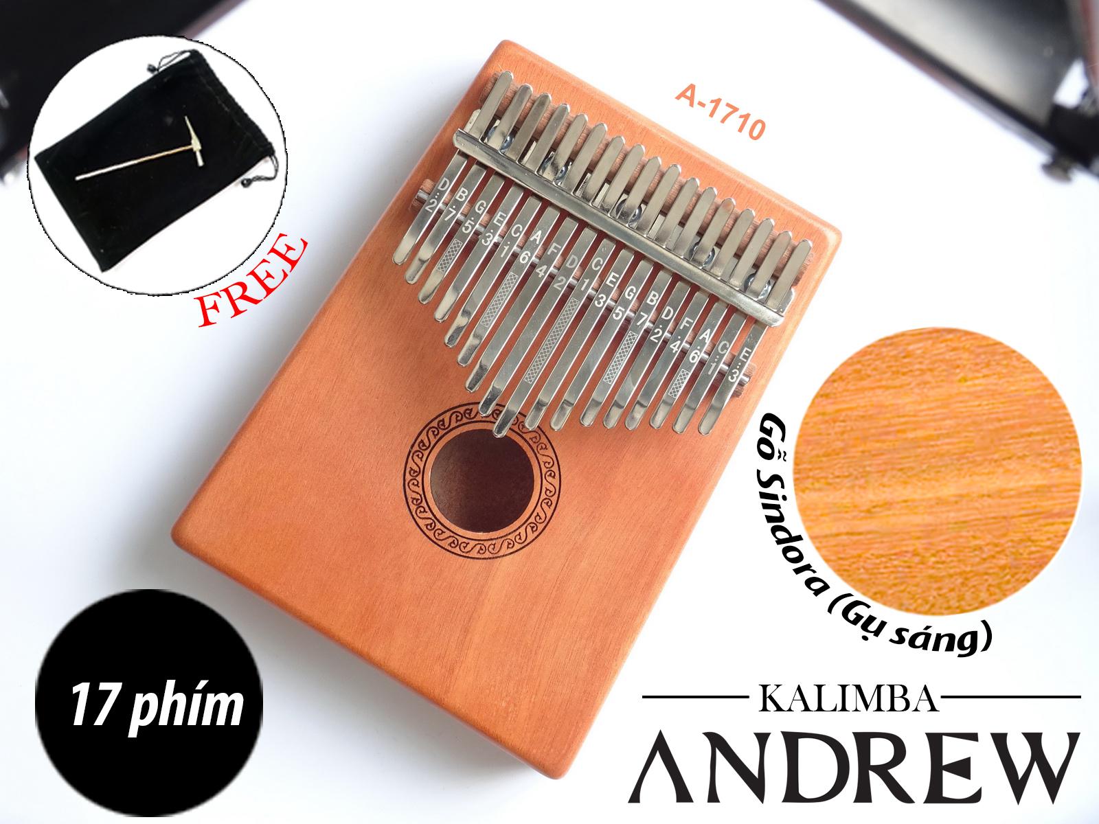 dan kalimba 17 phim andrew van go sang 7.JPG