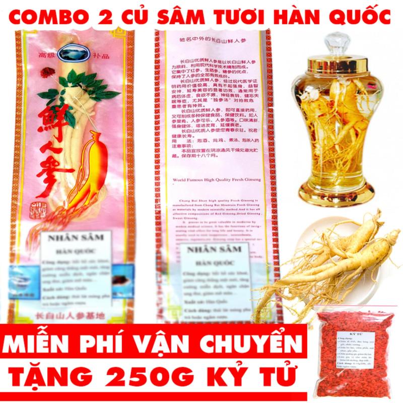 Combo 2 Nhân Sâm Tươi - Tặng 250 Gam Kỷ Tử