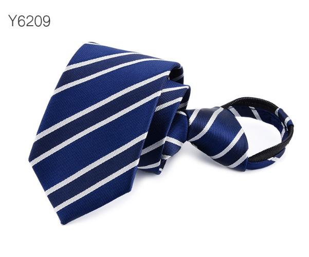 Y6209.PNG