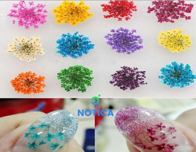 BỘ HOA KHÔ TRANG TRÍ MÓNG TAY CAO CẤP