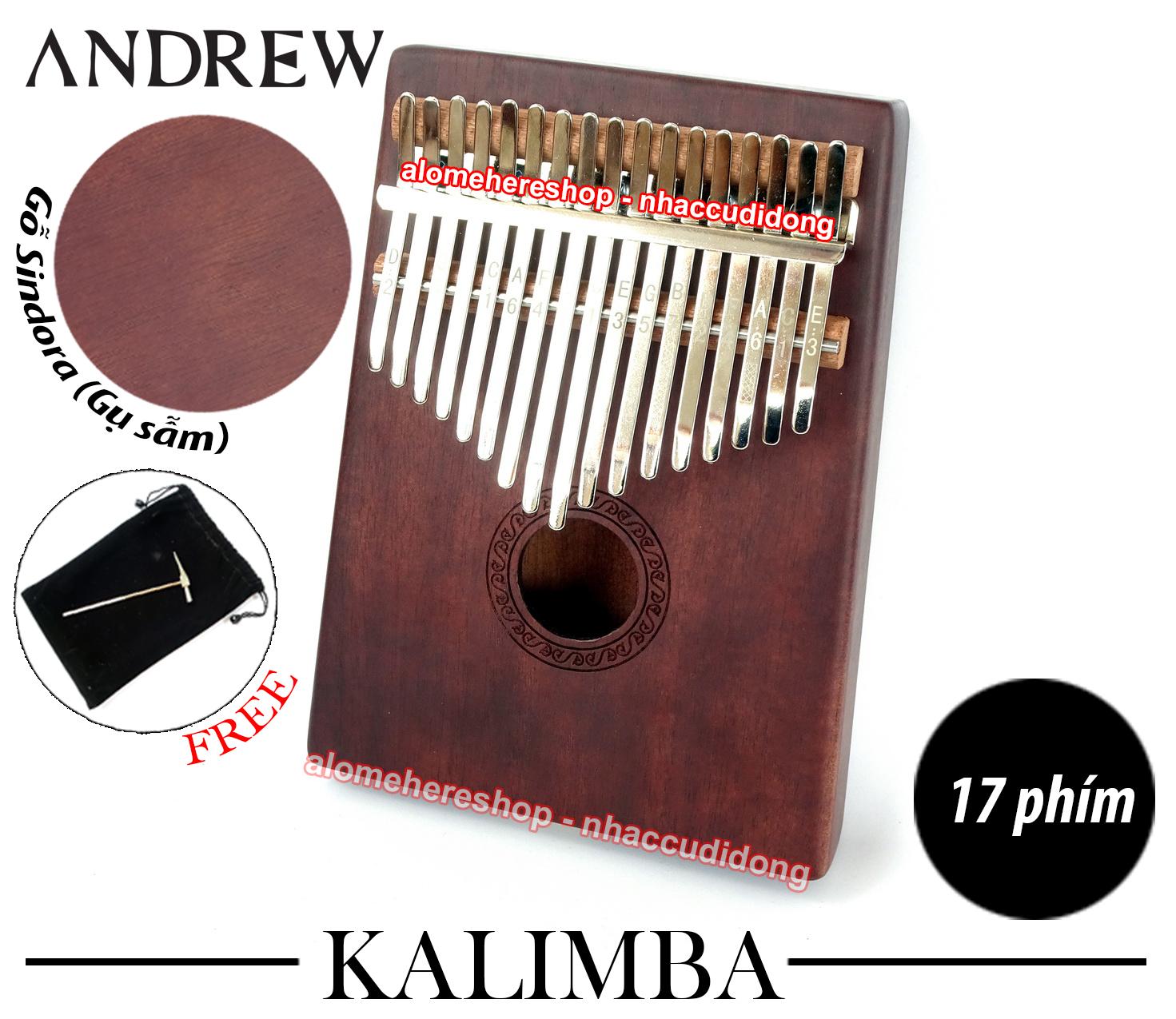 dan kalimba 17 phim andrew van go sam 24.JPG