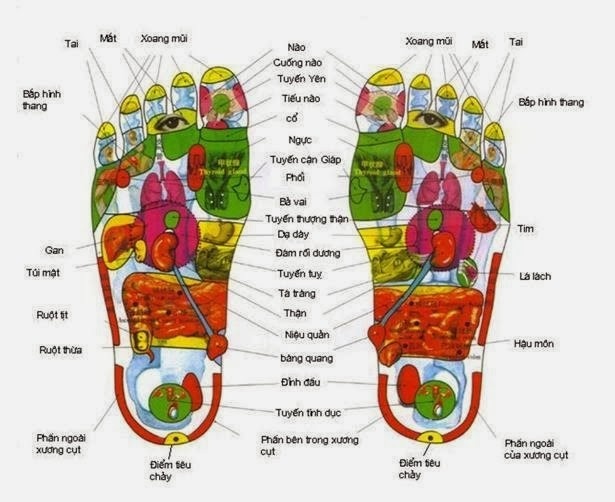 Hình mô tả sản phẩm