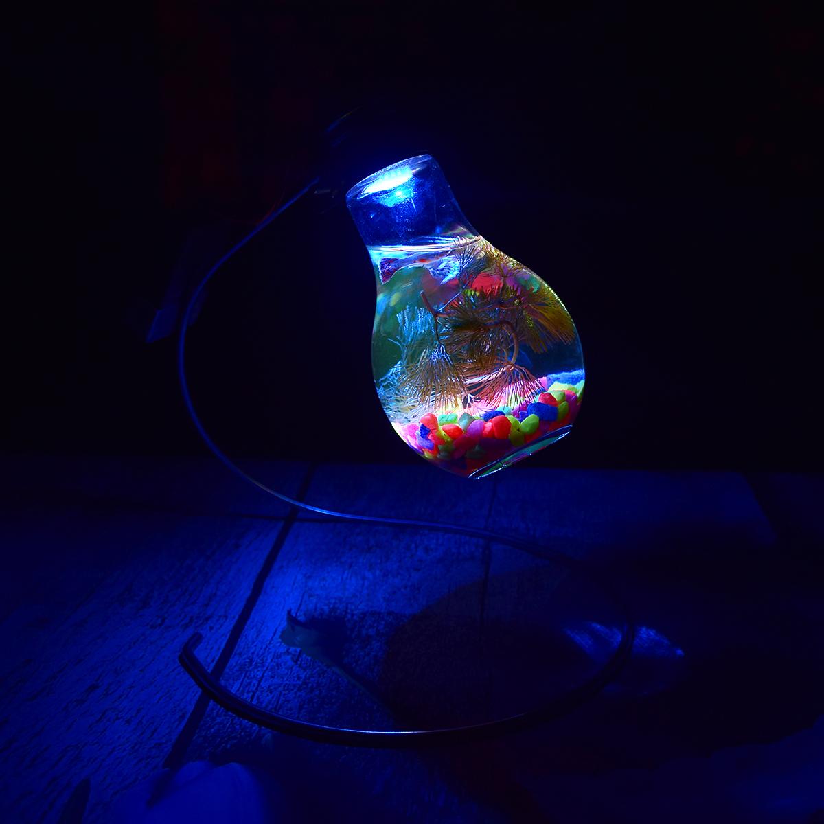 binh-ca-bong-den