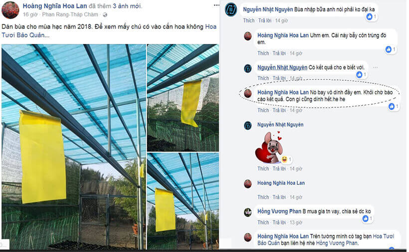 phản hồi của khách