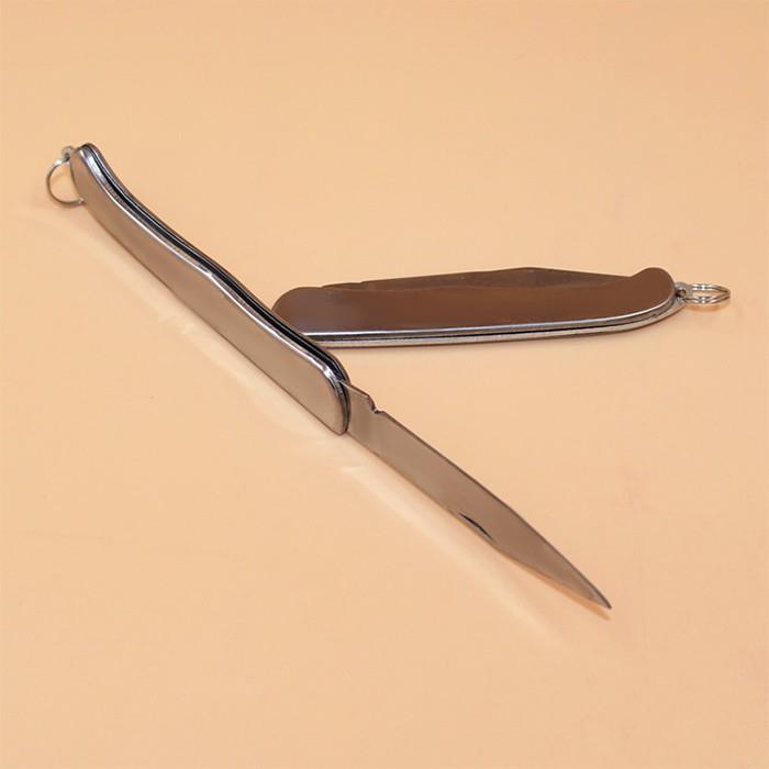 Dao Gọt Hoa Quả Trái Cây Du Lịch Gấp Gọn Mini