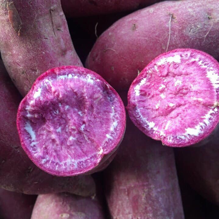 Bột Khoai Lang Tím 500g