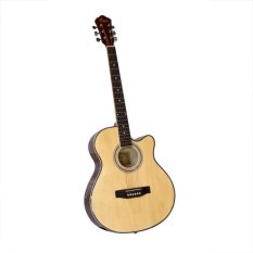 Cập Nhật Giá Đàn guitar acoustic Vines  