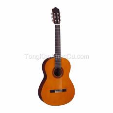 Cửa hàng bán Đàn Guitar Classic Yamaha C40//02  