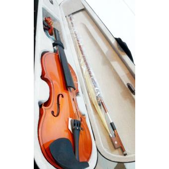 Đàn Violin Gỗ Spruce Quinyun June 2018 - 2 Đàn Violin gỗ spruce Quinyun - 2