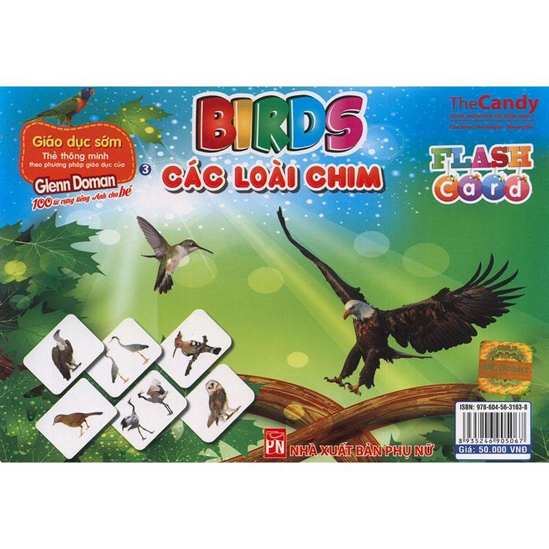 Mua Flashcard Birds - Các loài chim