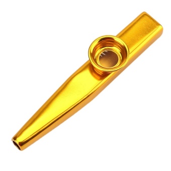 MusicalInstrument Metal with Flute Diaphragm Gift for Kids Music Lovers Gold - intl  