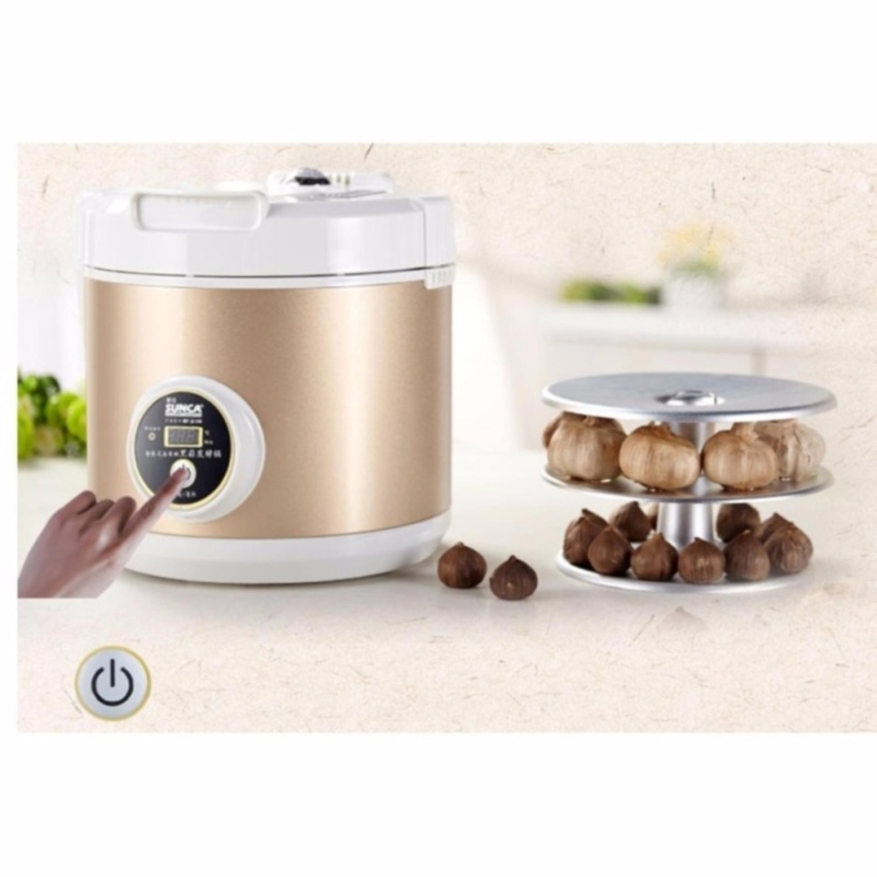 Máy Làm Tỏi Đen SF-G100 Hàng Cao Cấp