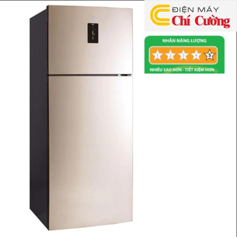 Tủ lạnh Electrolux ETB5702GA 573 LÍT 2 CỬA Inverter (Vàng đồng)