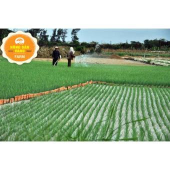 Tỏi Cô đơn Lý Sơn 1kg June 2018 - 3 Tỏi cô đơn lý sơn 1kg - 3