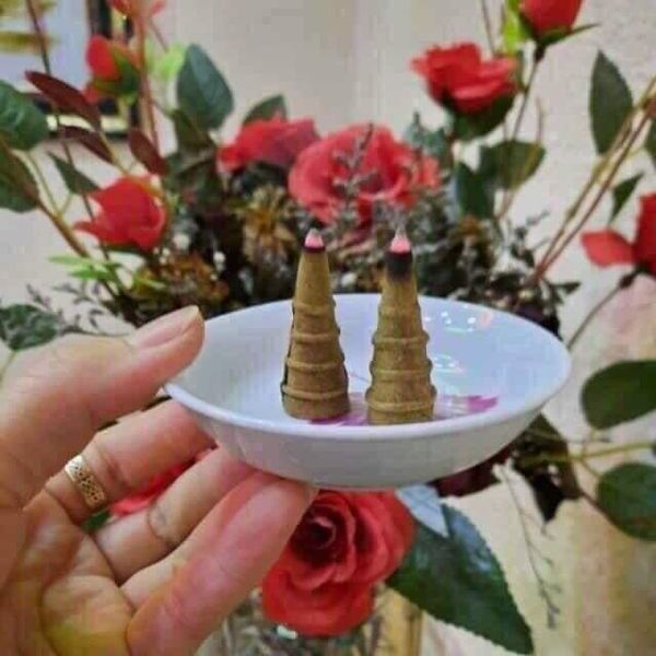 NỤ ĐUỔI MUỖI THẢO DƯỢC