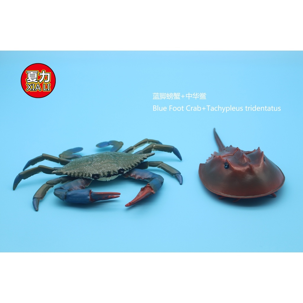 https://vn-live-02.slatic.net/p/1991174edd6e09c970fae7860ecd0457.jpg