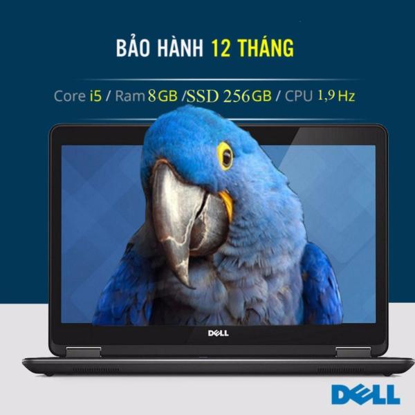 Bảng giá Dell Latitude 7440 i5-4300U 14inch, 8GB, SSD 256GB (Tặng Balo, túi
chống sốc, đế tản nhiệt, tai nghe) - Hàng Nhập Khẩu Phong Vũ