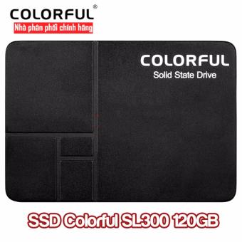 Ổ cứng SSD Colorful SL300 120Gb  