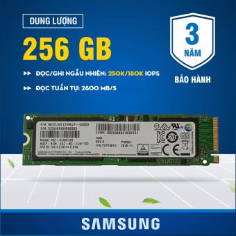 Ổ cứng SSD M2 PCIe Samsung PM961 NVMe 2280 256GB  