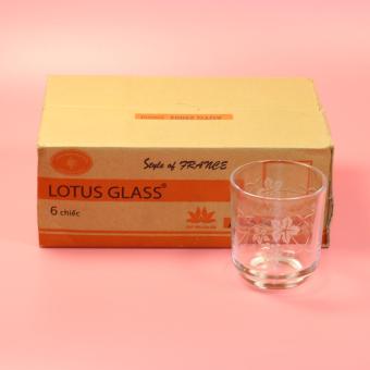 Bộ 6 cốc Lotus Glass 200ml hoa đẹp  