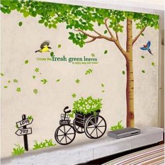 Tư vấn sử dụng decal dán tường cho từng phòng tại TPHCM Tư vấn sử dụng decal dán tường cho từng phòng tại TPHCM
