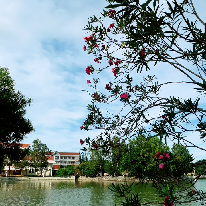 Hoàng Ngọc Dương