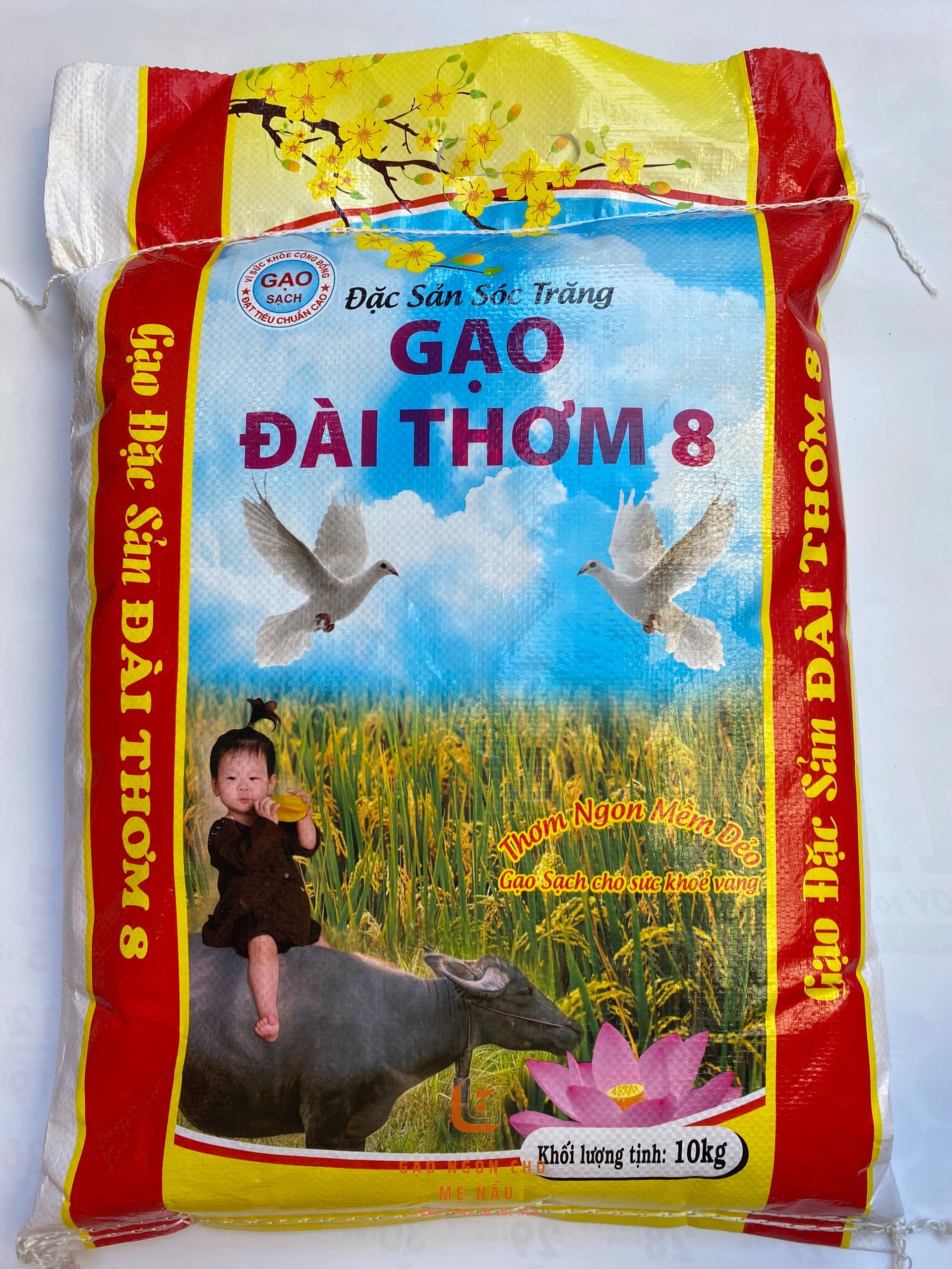 Hướng dẫn bảo quản Gạo Đài Thơm