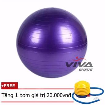 Bóng Tập Yoga Trơn 75CM - Viva Sport  