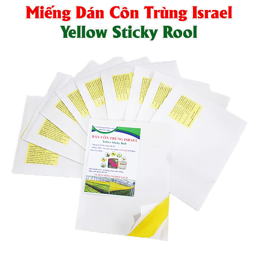 miếng dáng côn trùng israel