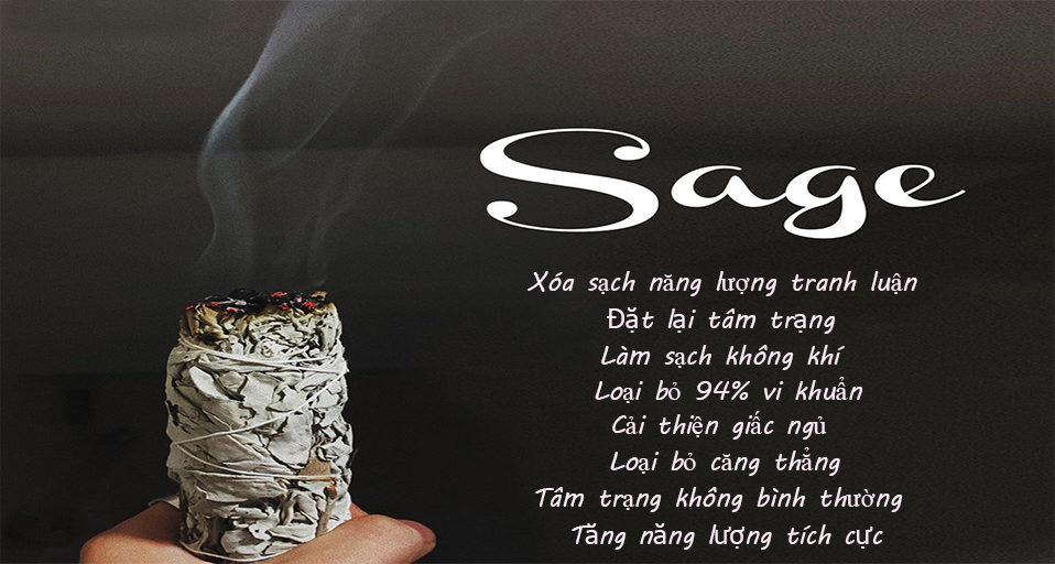Bó lá mix lá xô thơm trắng và cây thánhin White Sage + Yerba Santa Smudge Incense 3-4in Bundle
