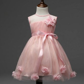 Round Collar Sleeveless Lace Floral Princess Party Tutu Dress (Pink) - intl  
