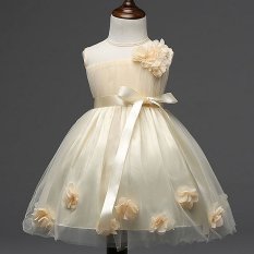 Nơi Bán Round Collar Sleeveless Lace Floral Princess Party Tutu Dress (Beige) – intl  Astin