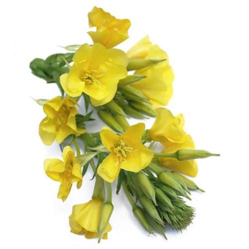 Viên uống thơm cơ thể Hebora Sakura 60 viên