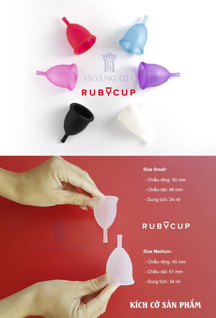 ALL_cups copy (1) copy copy.jpg
