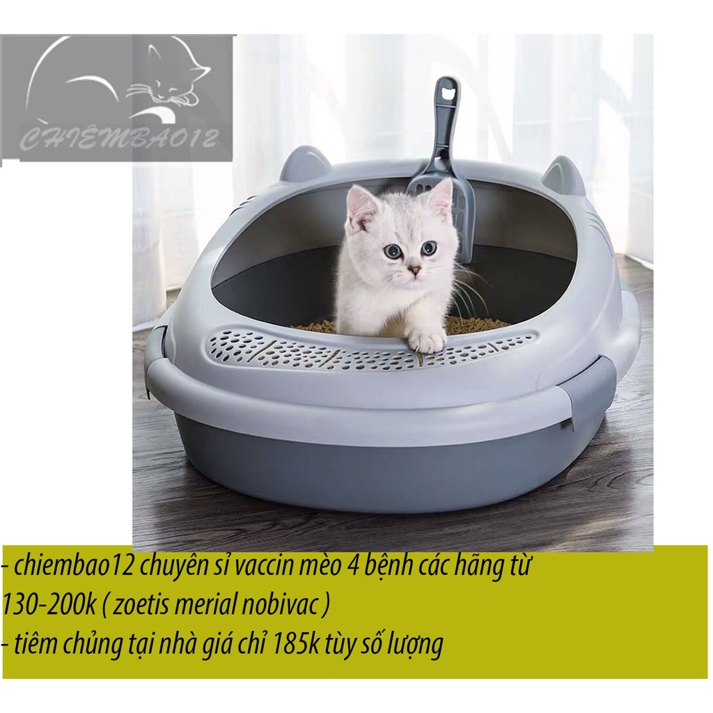 Giảm ₫176,148] HOT SALE Khay vệ sinh thành cao cho mèo-khay tai mèo  chiêmbao12 - tháng 1/2023 - BeeCost